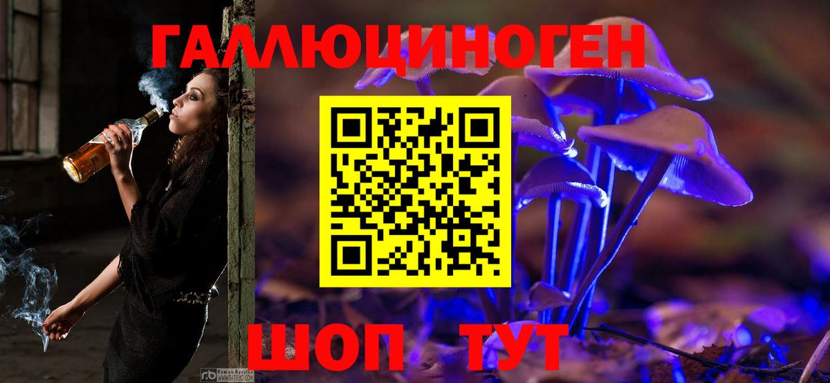 Галлюциногенные грибы Psilocybine cubensis Махачкала